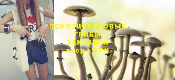 мескалин Вяземский