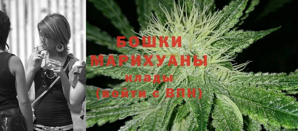 мдпв Вязники