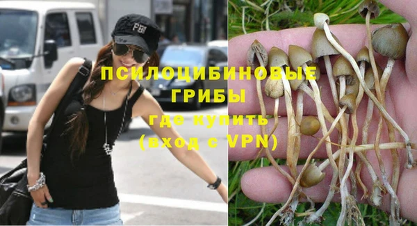 мдпв Вязники